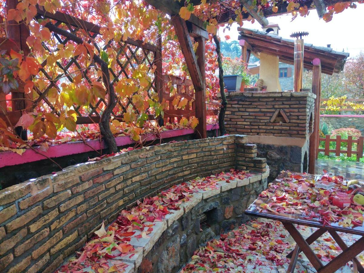 Archontiko Nikolopoulou Hotel Vitina Bagian luar foto