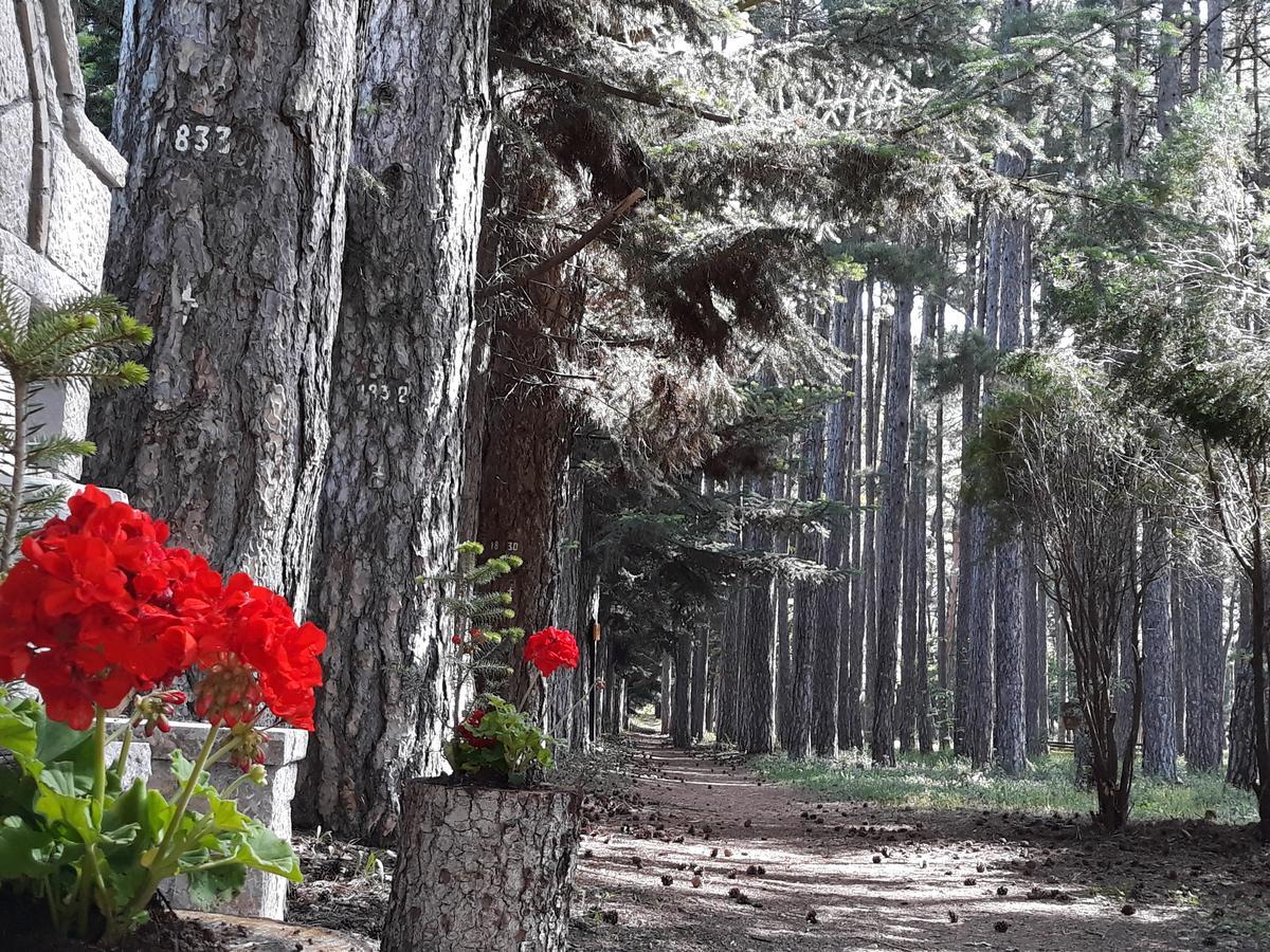 Archontiko Nikolopoulou Hotel Vitina Bagian luar foto