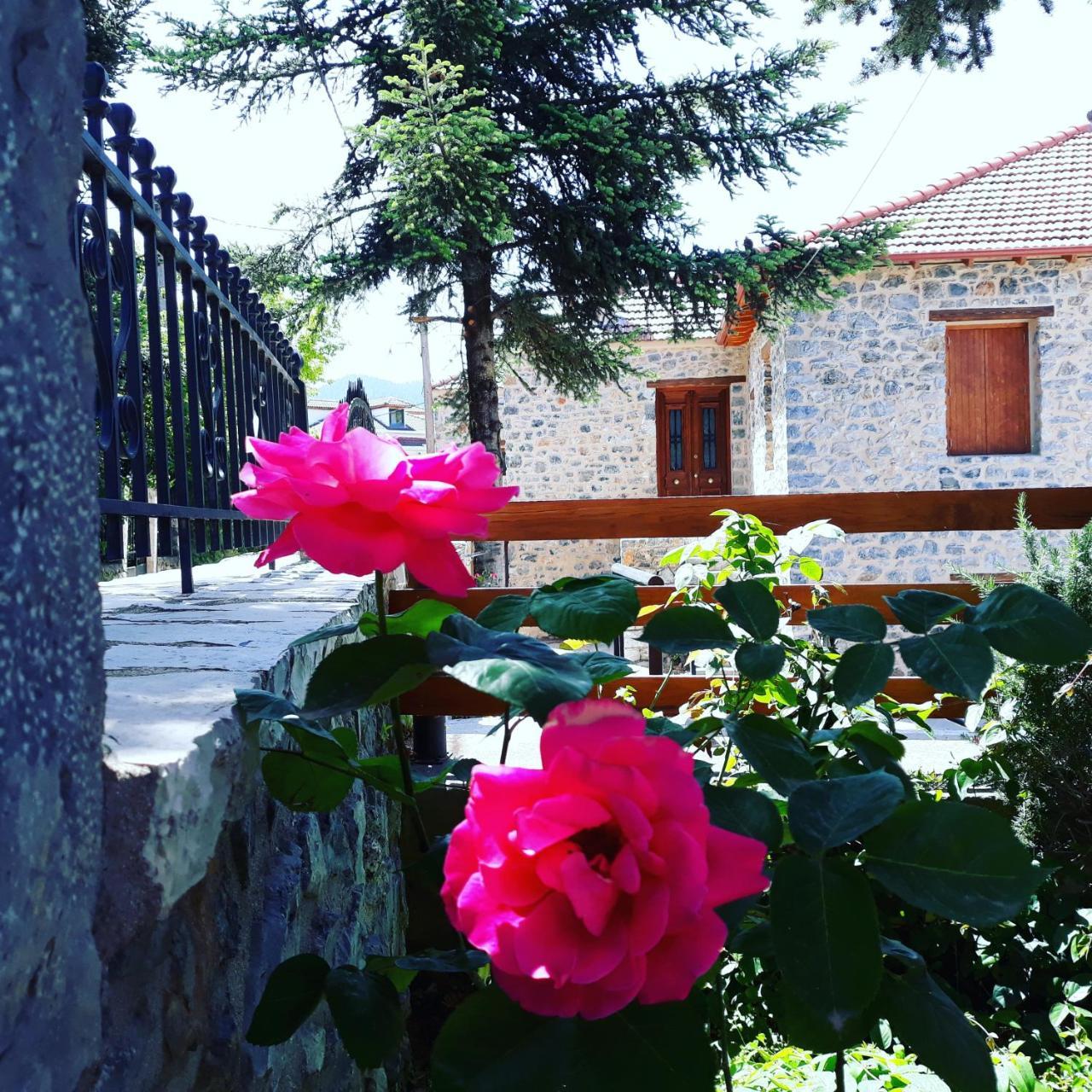 Archontiko Nikolopoulou Hotel Vitina Bagian luar foto