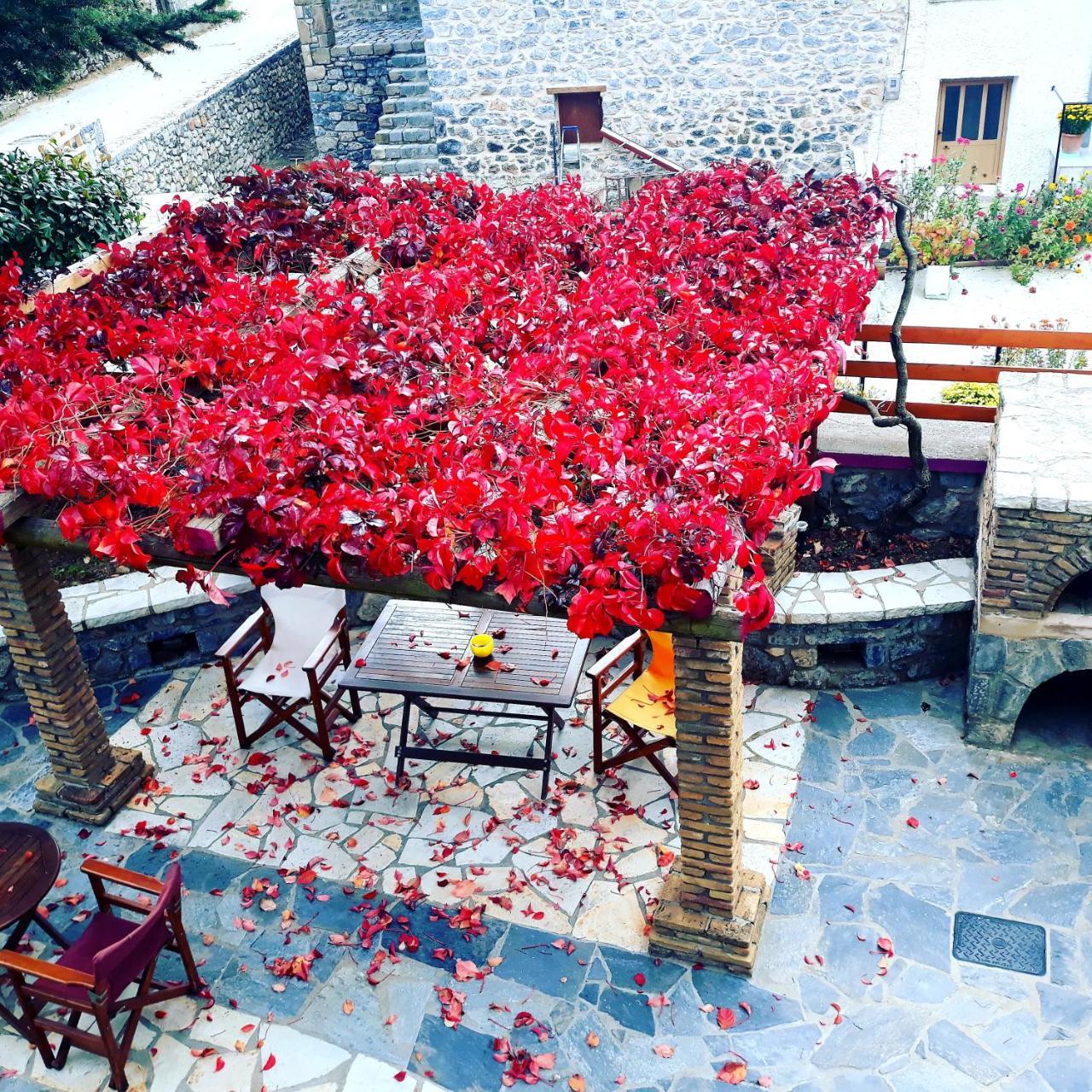 Archontiko Nikolopoulou Hotel Vitina Bagian luar foto
