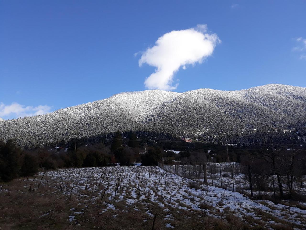 Archontiko Nikolopoulou Hotel Vitina Bagian luar foto